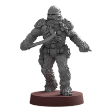 Afbeelding in Gallery-weergave laden, Wookiee Warriors Unit Expansion