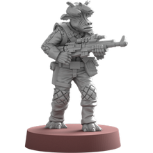 Afbeelding in Gallery-weergave laden, Rebel Troopers Upgrade Expansion