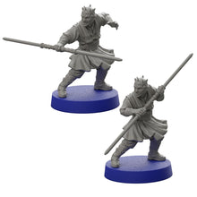 Afbeelding in Gallery-weergave laden, Darth Maul and Sith Probe Droids Operative Expansion